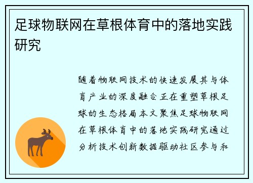 足球物联网在草根体育中的落地实践研究